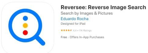Google 逆画像検索に Reversee を使用する