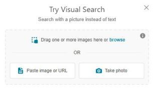 Google の逆画像検索に Bing を使用した逆画像検索
