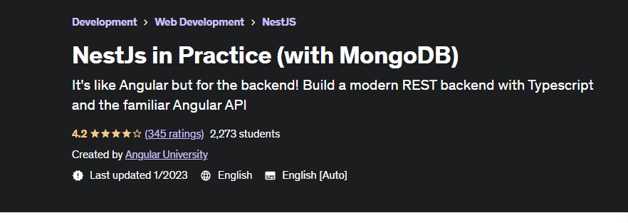 NestJs-in-Practice