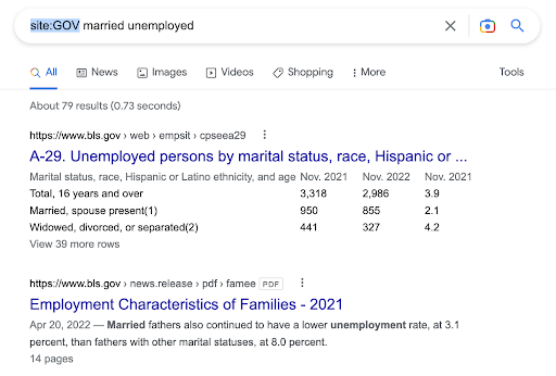 Filtru Google GOV
