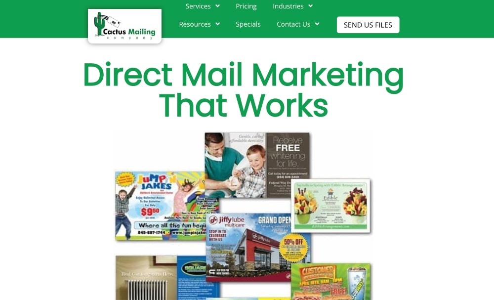 Witryna Cactus Mailing