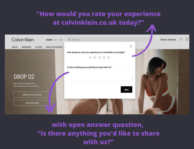 Sondaggio sulla homepage di Calvin Klein