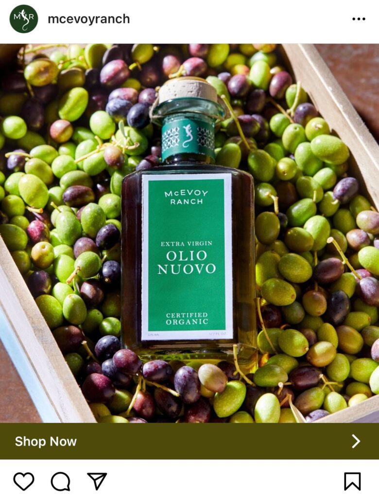 インスタグラム広告の種類