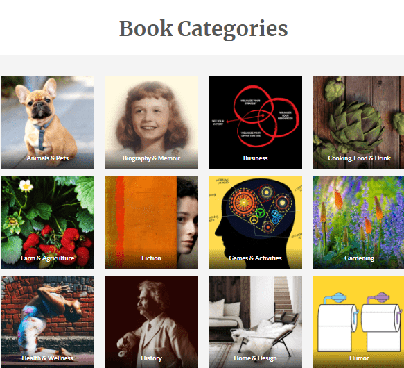 Jual buku secara online