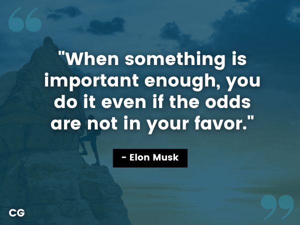 cytaty hustle - elon musk