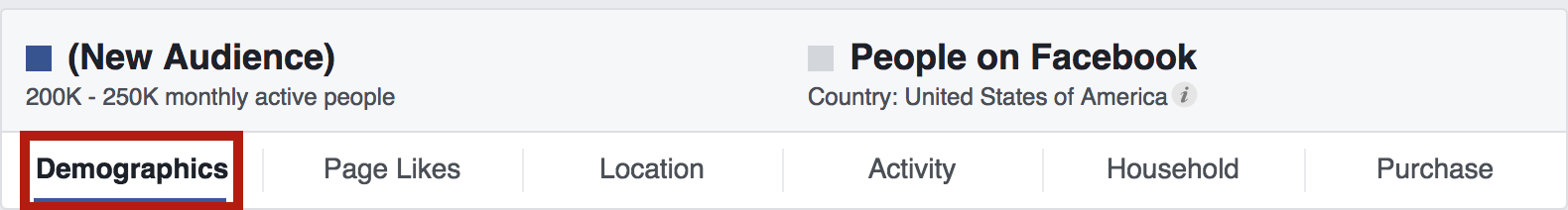 Facebook-audience-insights-demographics-tool