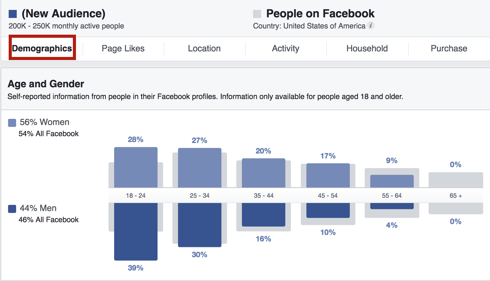 demografía-2-pestaña-facebook-audience-insights-tab