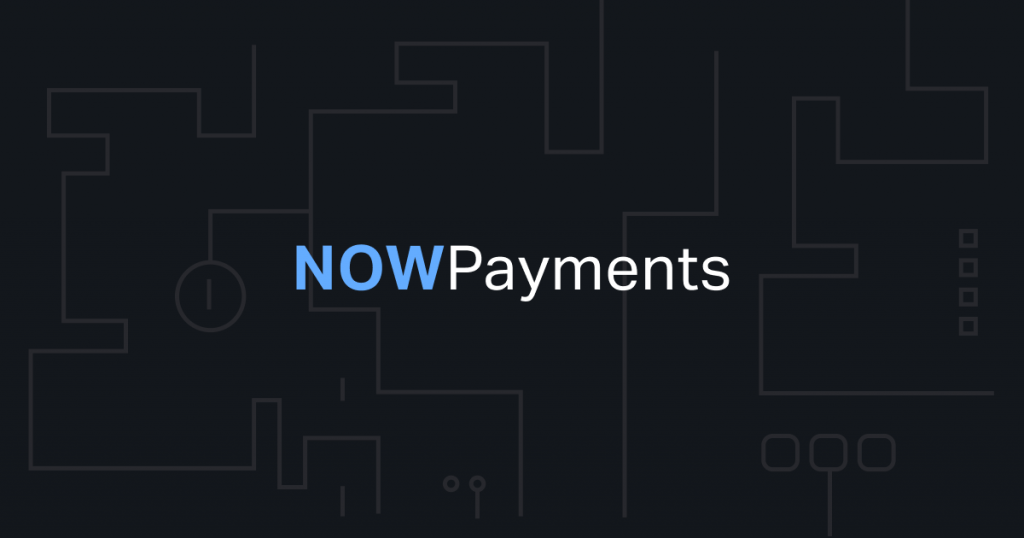NOWPayments 上的 TUSD 付款与其他付款选项