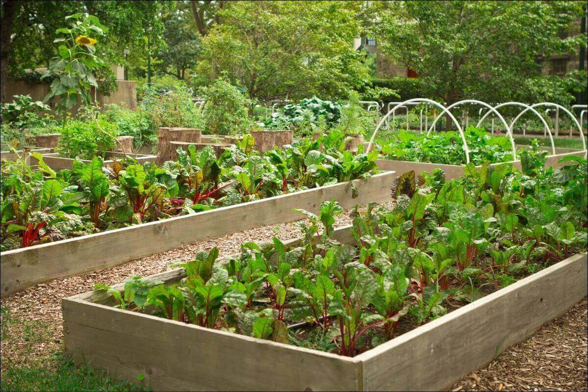 Garten mieten