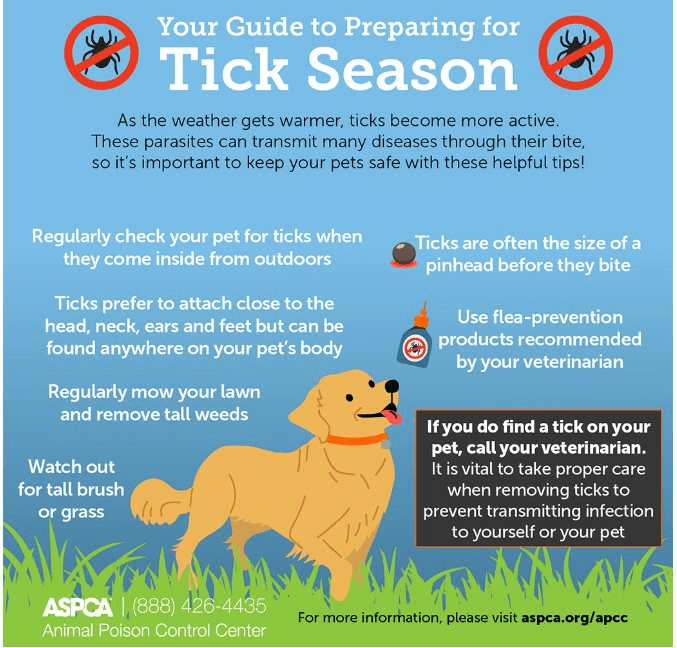 อินโฟกราฟิกฤดูกาล ASPCA Tick