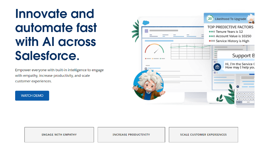 Salesforce Einstein