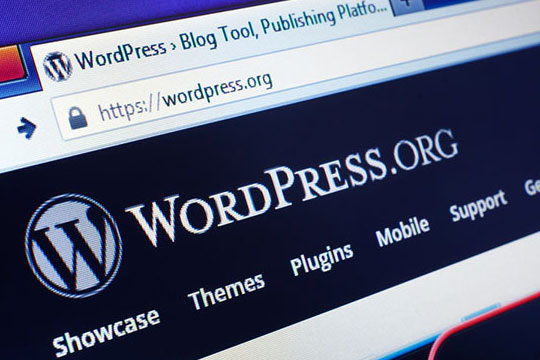 URL del sito web WordPress