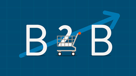 b2b-b2c-网站-设计-秘密-营销