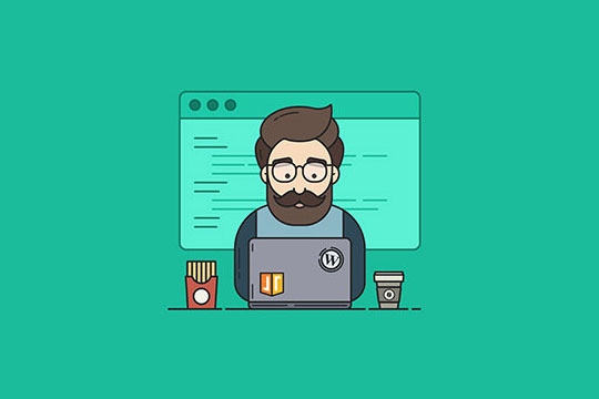 WordPress-Progettista-Sviluppatore-Lavoro