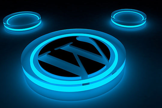 wordpress logosu