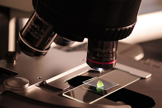 microscopio-ricerca-laboratorio-scienza-chimica-esperimento-analisi-biotecnologica