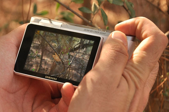 fotocamera-digitale-samsung-schermo-fotografia