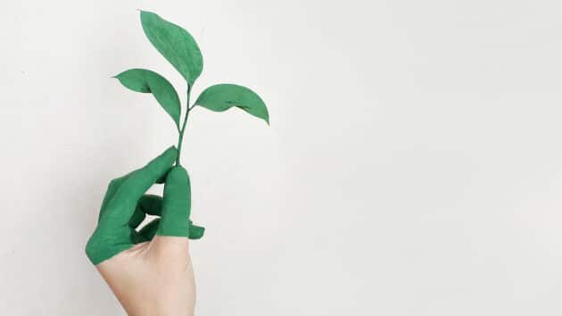 tierra-ecología-medio ambiente-verde-planta-sostenibilidad