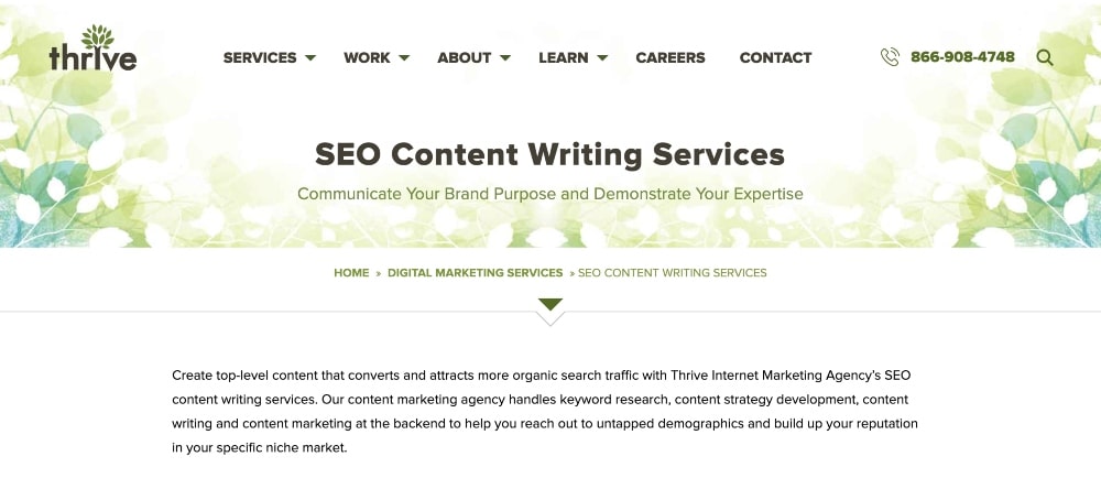 Thrive Agency SEO 內容網站截圖