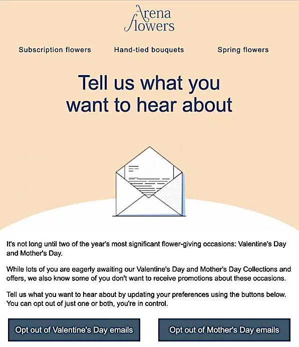 Email penyisihan hari ibu