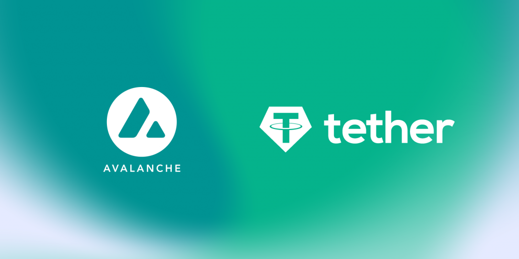 Avalanche에서 USDT 결제의 미래