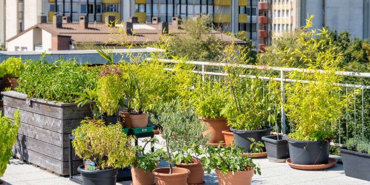 concept de ferme urbaine dans une ville