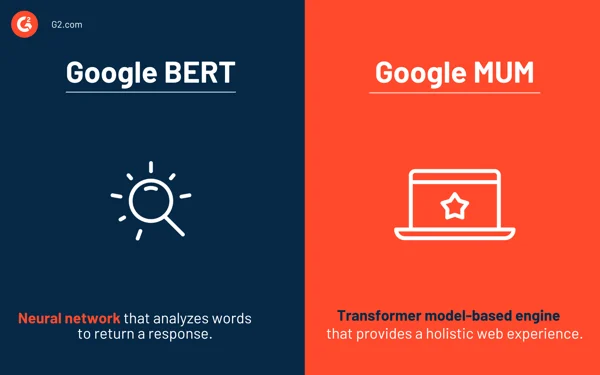 google bert contre google maman