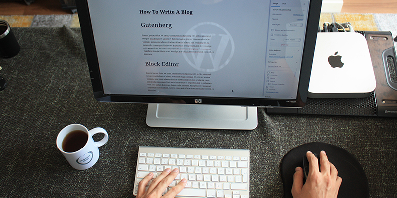 Uma foto de uma pessoa editando um blog WordPress