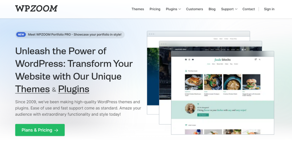 10+ beste WordPress-Themes-Anbieter (aktualisierte Liste) 16 wpzoom homepage