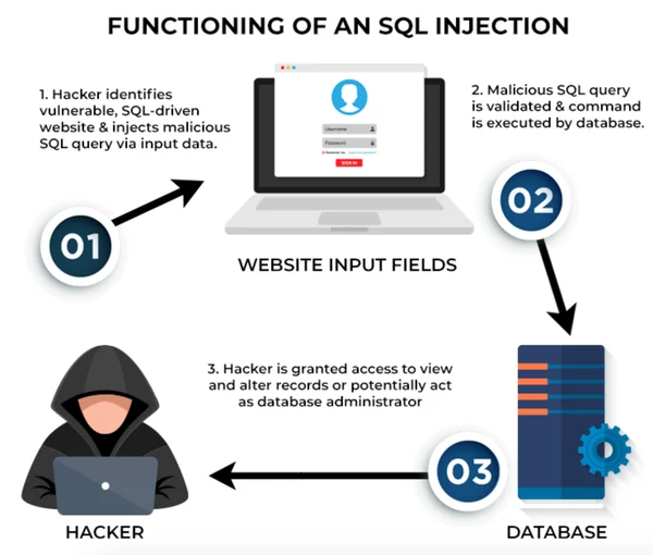 SQL注入的作用