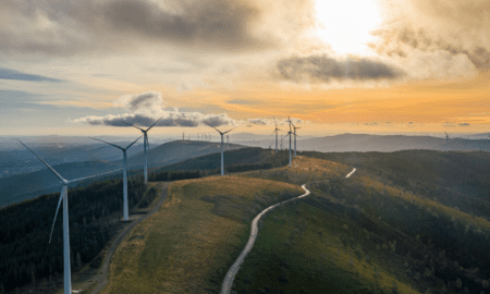 Sustenabilitate și transformare digitală: o revoluție a tehnologiei ecologice