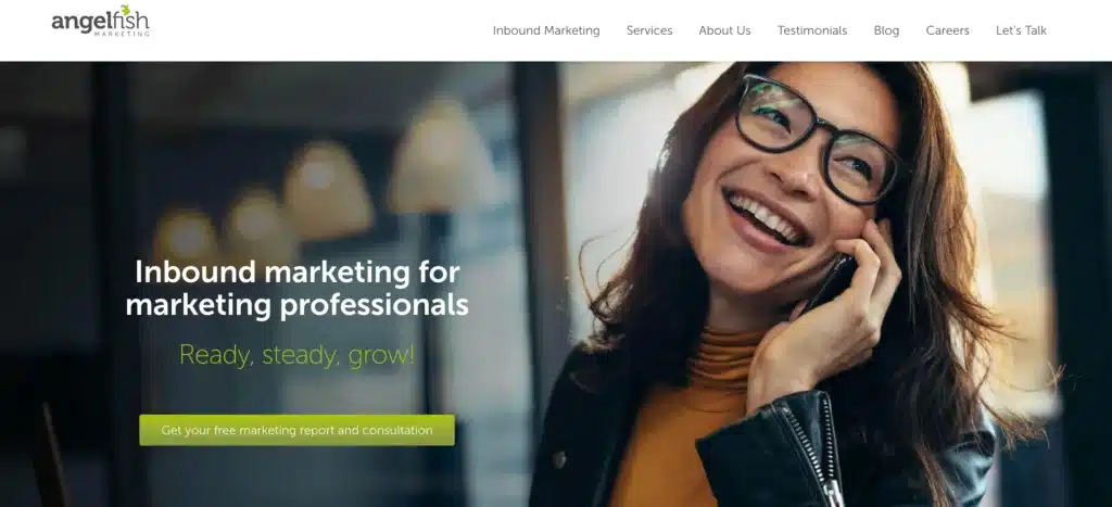 Strona internetowa firmy Angelfish Marketing
