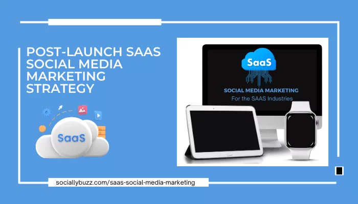 STRATEGI PEMASARAN MEDIA SOSIAL SAAS pasca Peluncuran