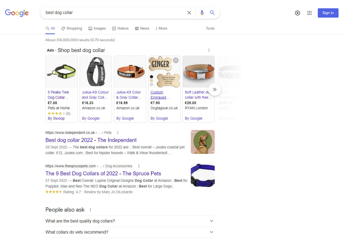 снимок экрана с поиском в Google «лучший ошейник для собак»