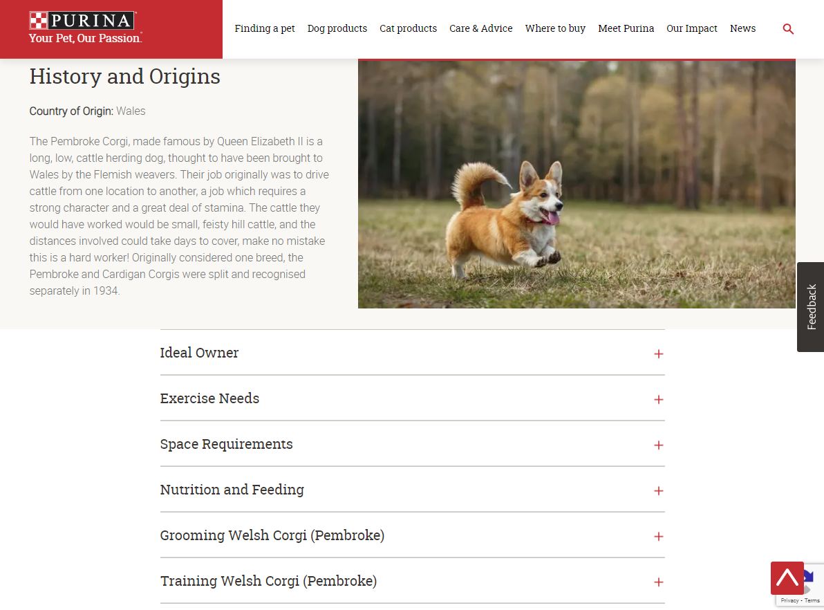 Captura de tela dos resultados do questionário Purina