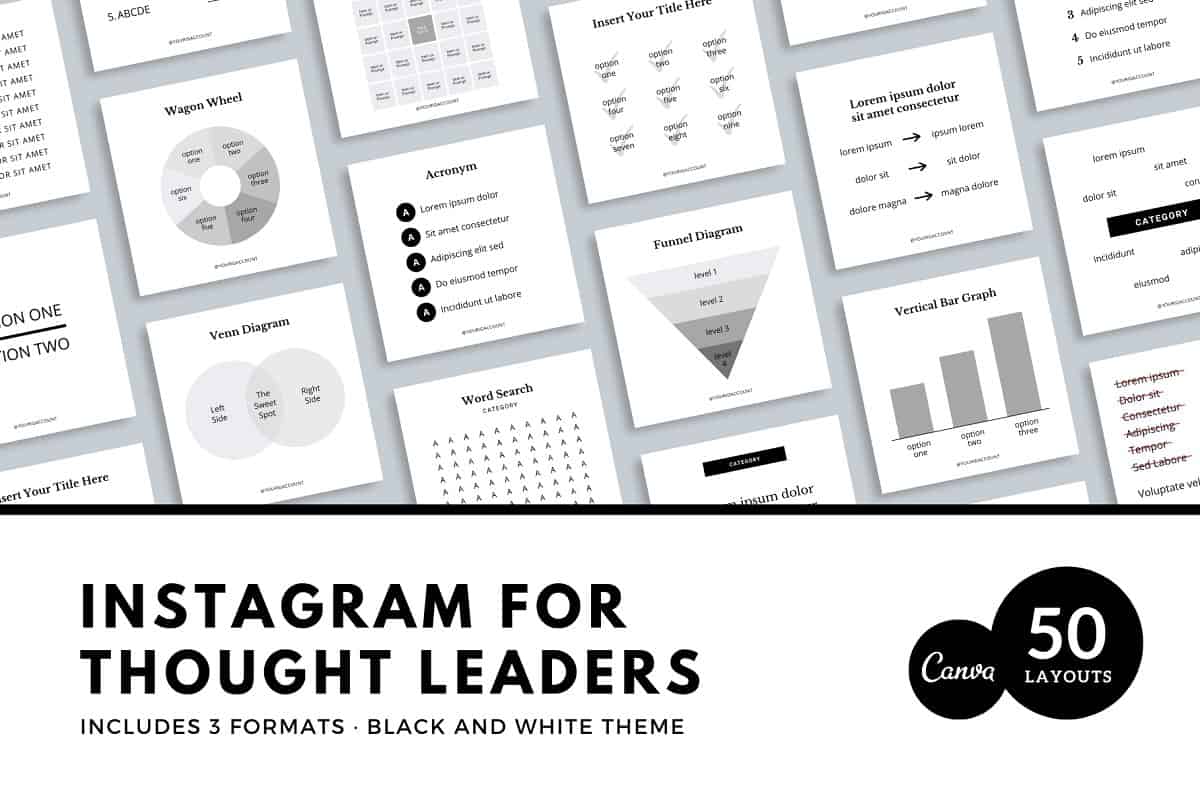 Modelo do Instagram para líderes inovadores