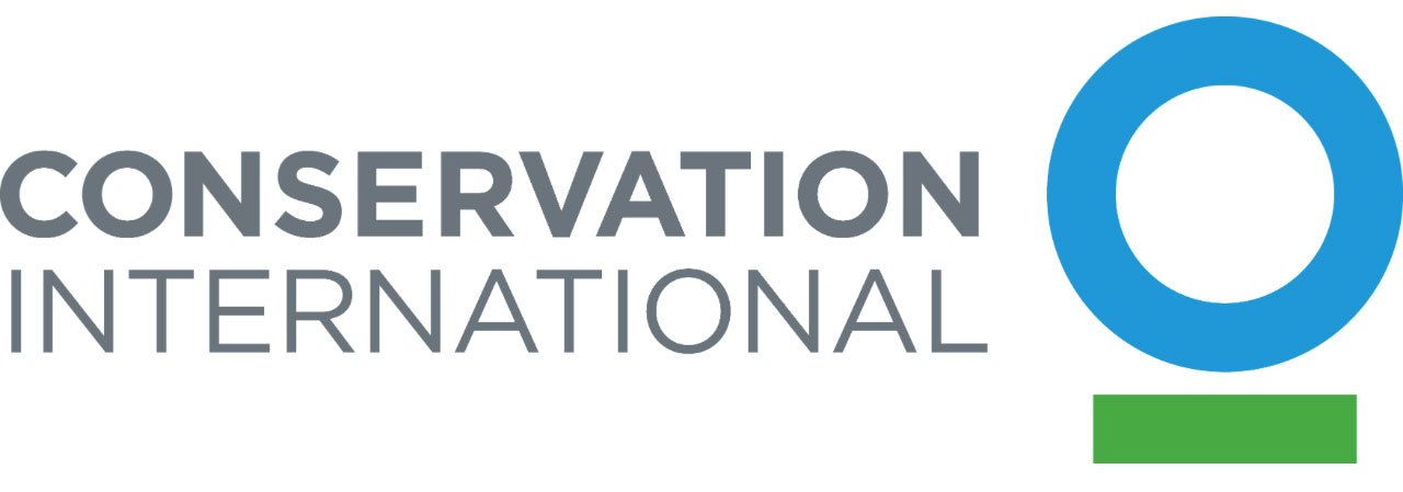 Пример дизайна логотипа Conservation International