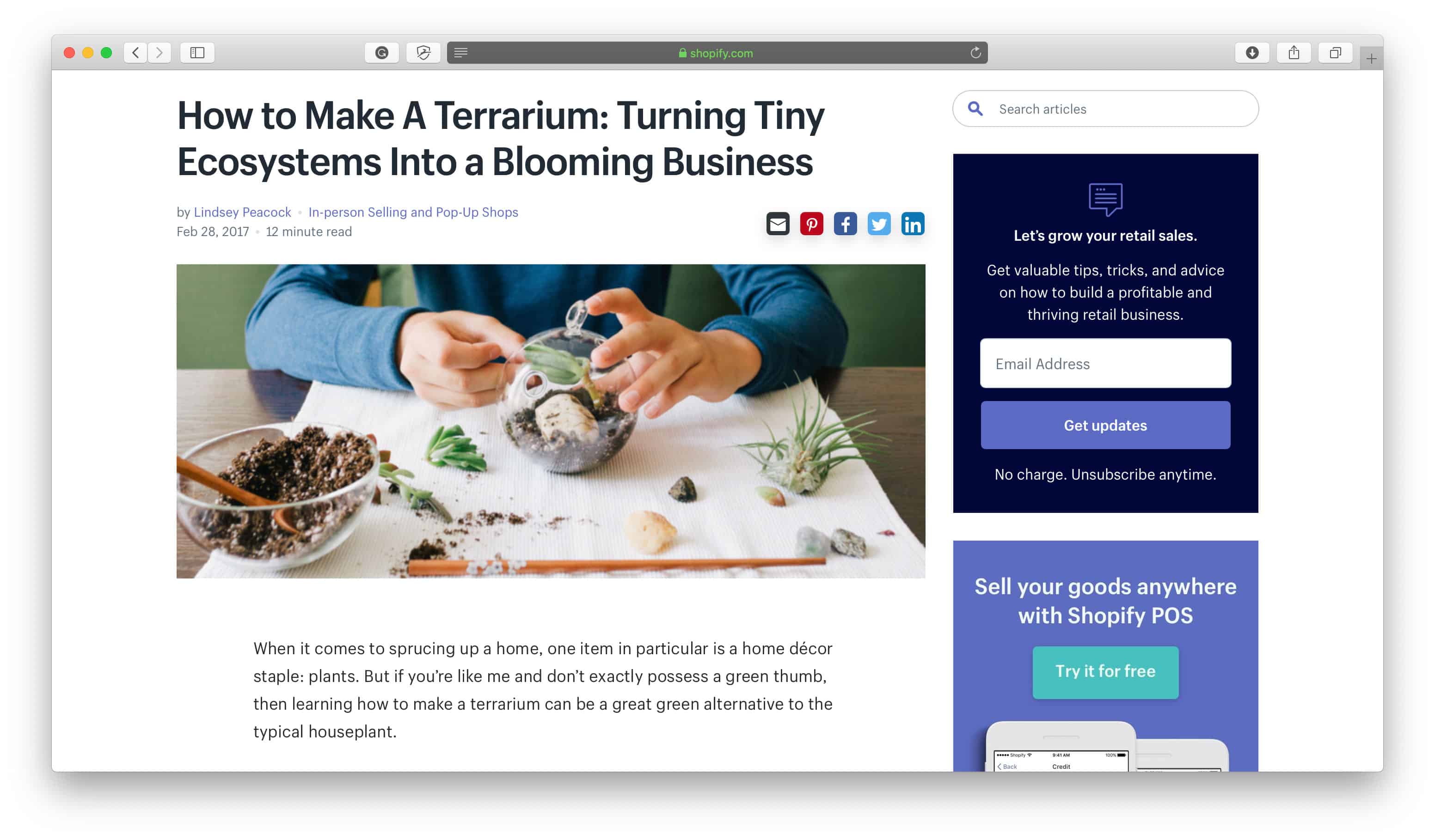 Terrarienprodukte zum Selbermachen