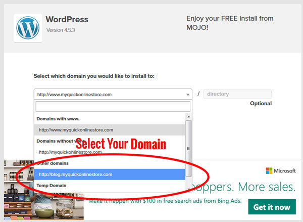WordPress 域名