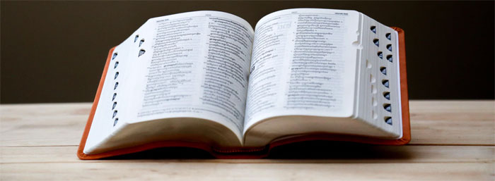 dizionario