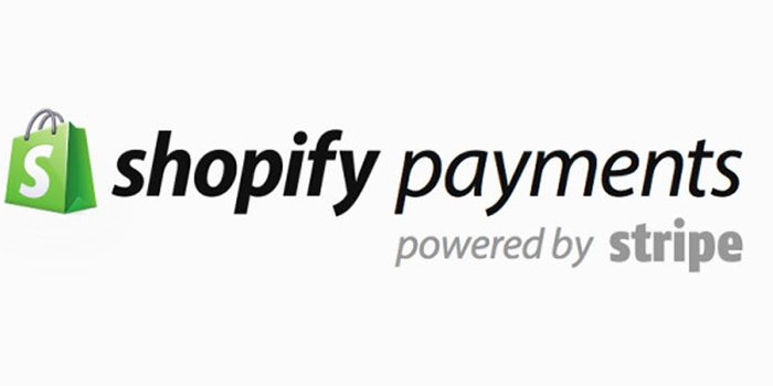 Shopify المدفوعات